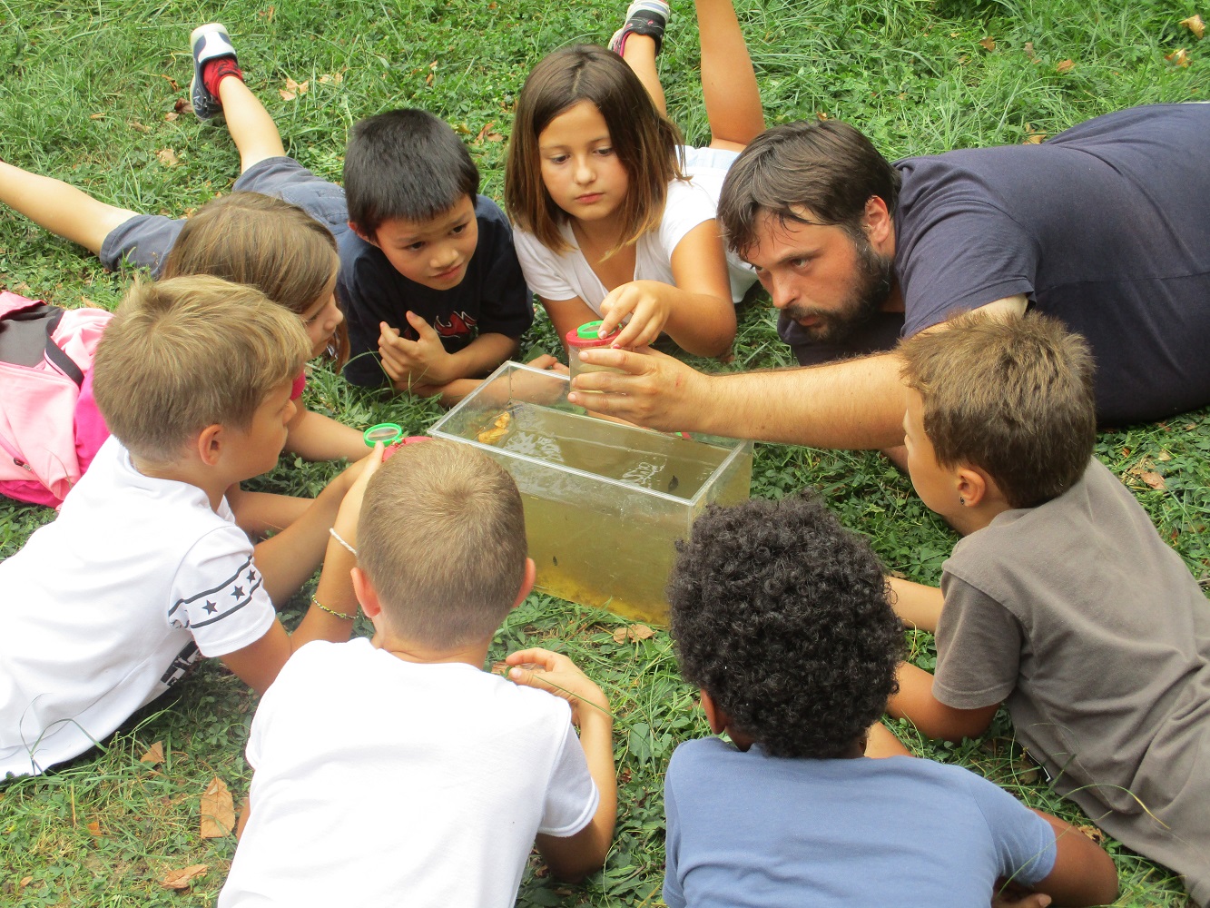 BPJEPS ASEC : Animateurice nature et environnement - Graine BFC