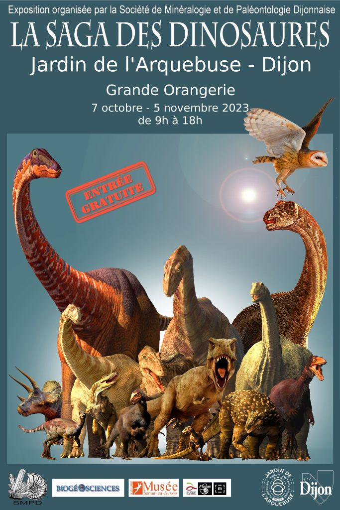 Visuel exposition la saga des dinosaures
