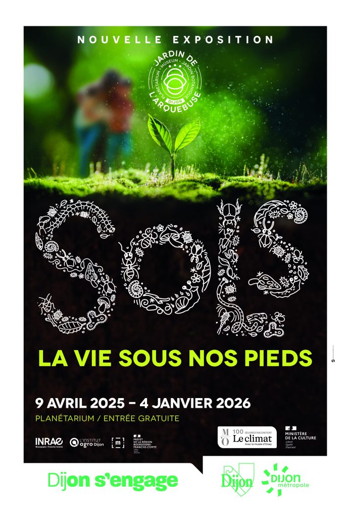 visuel de l'exposition Sols la vie sous nos pieds