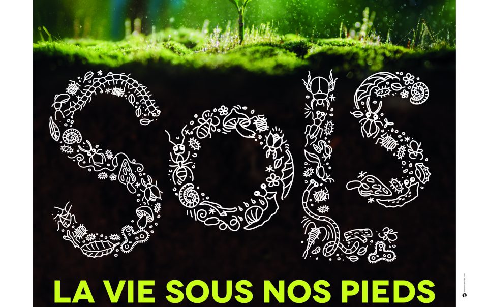 visuel de l'exposition Sols la vie sous nos pieds