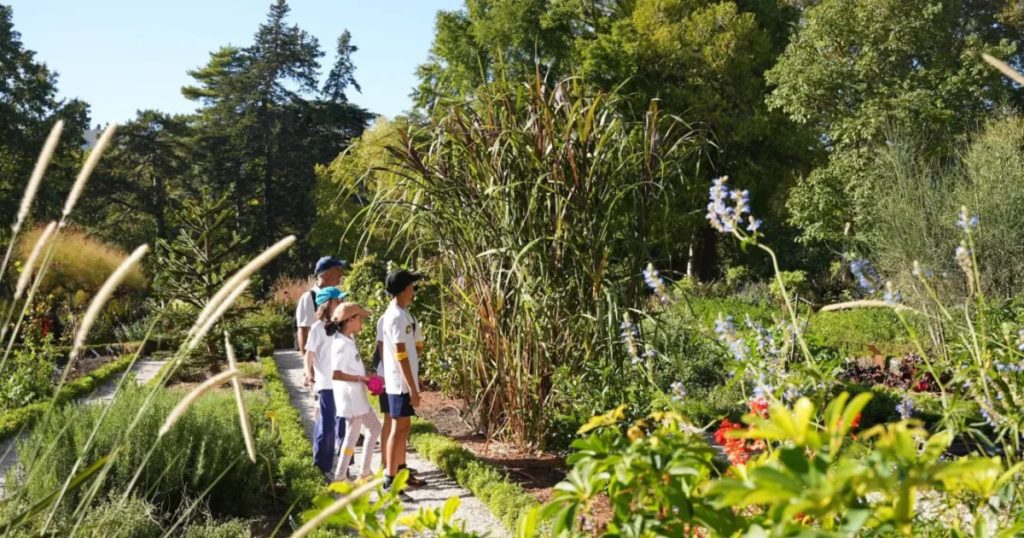 jardin botanique